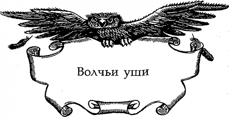 Иллюстрация к книге — Серебряное крыло [i_014.png]