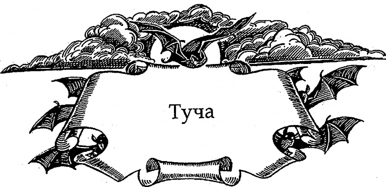 Иллюстрация к книге — Серебряное крыло [i_019.png]