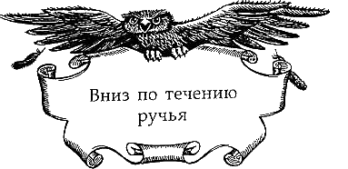 Иллюстрация к книге — Солнечное крыло [i_003.png]