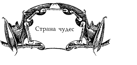 Иллюстрация к книге — Солнечное крыло [i_004.png]