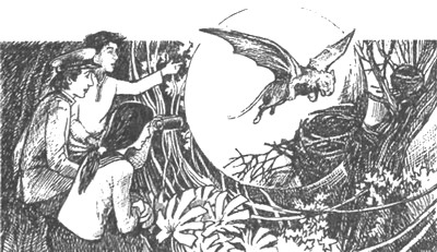 Иллюстрация к книге — Небесный скиталец [pic22.jpg]