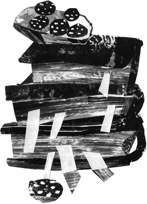 Иллюстрация к книге — Гимназия №13 [_037.png]