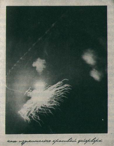 Иллюстрация к книге — Дом странных детей [i_029.jpg]