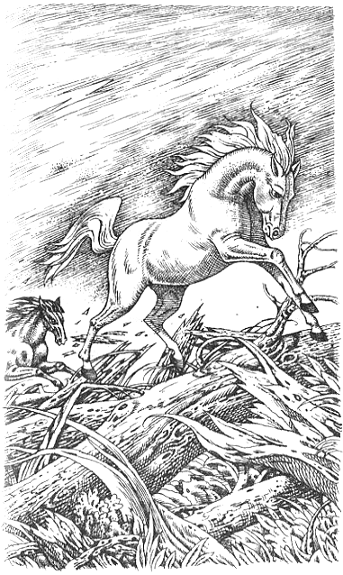 Иллюстрация к книге — Серебряный конь [i_006.png]