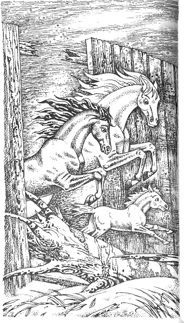 Иллюстрация к книге — Серебряный конь [i_007.png]