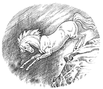 Иллюстрация к книге — Серебряный конь [i_008.png]