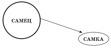 Иллюстрация к книге — ЖЖизнь без трусов. Мастерство соблазнения. Жесть как она есть [i_001.png]