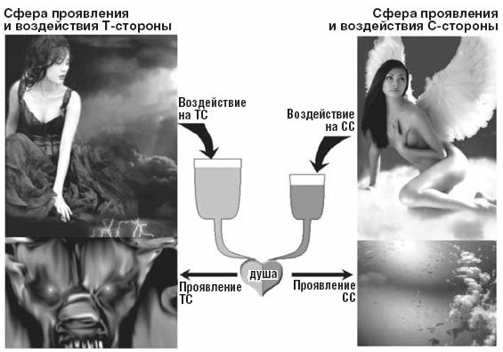 Иллюстрация к книге — ЖЖизнь без трусов. Мастерство соблазнения. Жесть как она есть [i_016.jpg]