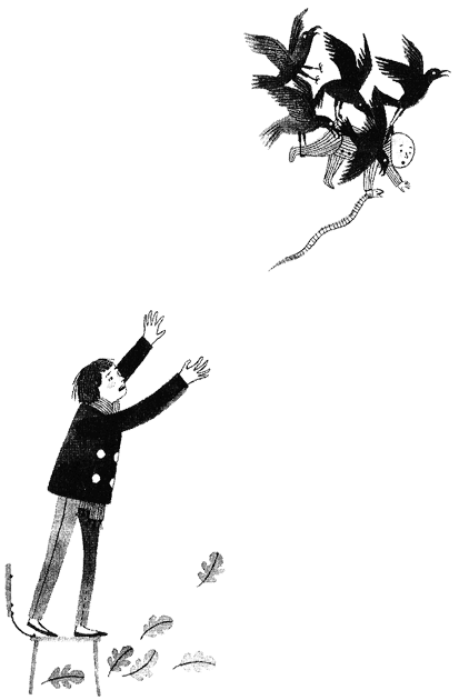 Иллюстрация к книге — Дикий лес [i_005.png]