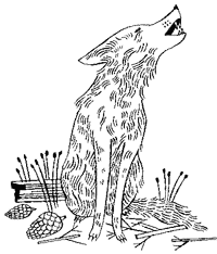 Иллюстрация к книге — Дикий лес [i_006.png]