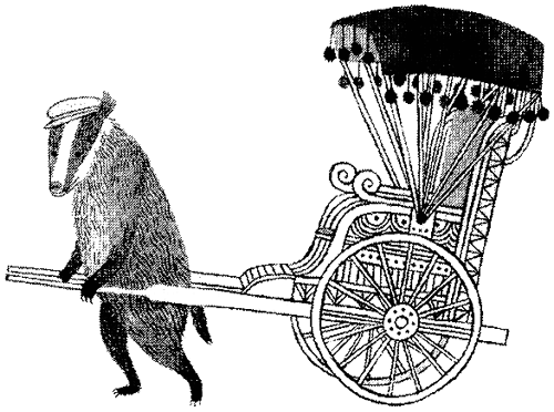 Иллюстрация к книге — Дикий лес [i_031.png]