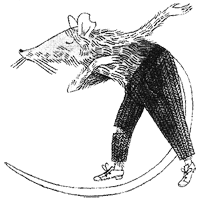 Иллюстрация к книге — Дикий лес [i_044.png]