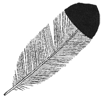 Иллюстрация к книге — Дикий лес [i_045.png]