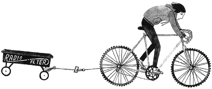 Иллюстрация к книге — Дикий лес [i_070.png]