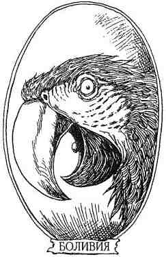 Иллюстрация к книге — Фергус Крейн и огненные алмазы [i_032.jpg]