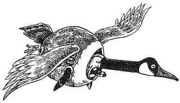 Иллюстрация к книге — Фергус Крейн и огненные алмазы [i_096.jpg]