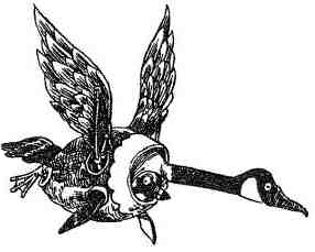 Иллюстрация к книге — Фергус Крейн и огненные алмазы [i_111.jpg]