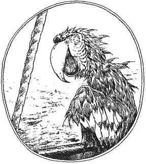 Иллюстрация к книге — Фергус Крейн и огненные алмазы [i_124.jpg]