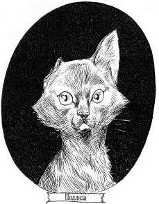 Иллюстрация к книге — Наследник пиратов [i_002.jpg]