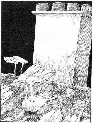 Иллюстрация к книге — Наследник пиратов [i_080.jpg]