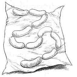 Иллюстрация к книге — Наследник пиратов [i_105.jpg]