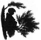 Иллюстрация к книге — Наследник пиратов [i_126.jpg]