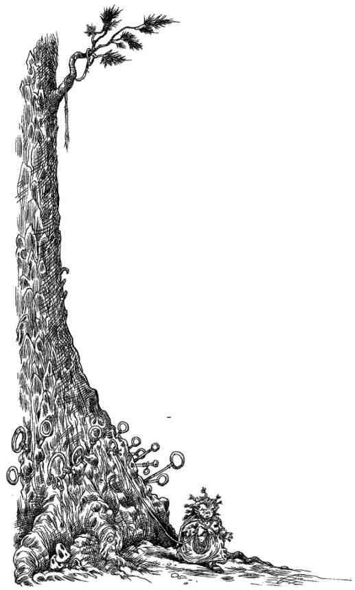 Иллюстрация к книге — За Темными Лесами [i_006.jpg]