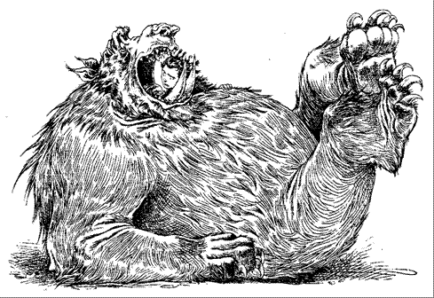 Иллюстрация к книге — За Темными Лесами [i_067.png]