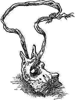 Иллюстрация к книге — За Темными Лесами [i_073.jpg]