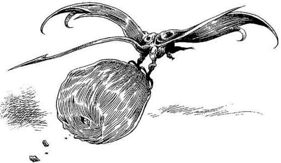 Иллюстрация к книге — За Темными Лесами [i_079.jpg]