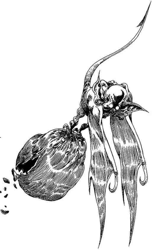 Иллюстрация к книге — За Темными Лесами [i_080.jpg]