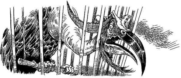 Иллюстрация к книге — Громобой [i_009.jpg]