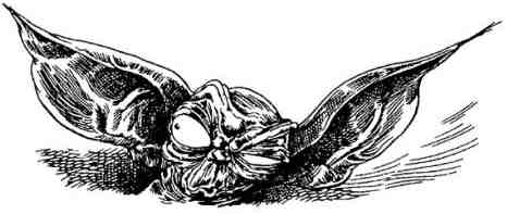 Иллюстрация к книге — Громобой [i_047.jpg]