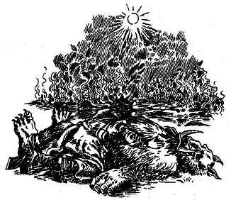 Иллюстрация к книге — Громобой [i_127.jpg]