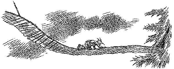 Иллюстрация к книге — Полночь над Санктафраксом [i_088.jpg]