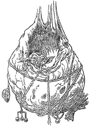 Иллюстрация к книге — Полночь над Санктафраксом [i_117.jpg]