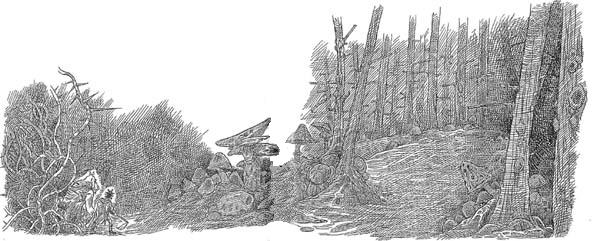 Иллюстрация к книге — Полночь над Санктафраксом [i_121.jpg]