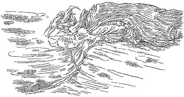 Иллюстрация к книге — Полночь над Санктафраксом [i_127.jpg]