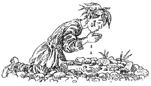 Иллюстрация к книге — Полночь над Санктафраксом [i_128.jpg]