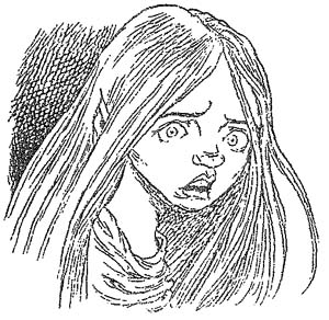 Иллюстрация к книге — Полночь над Санктафраксом [i_130.jpg]