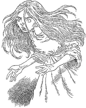 Иллюстрация к книге — Полночь над Санктафраксом [i_131.jpg]