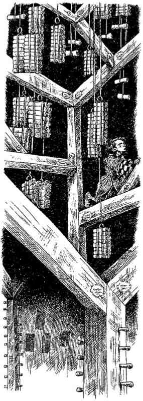 Иллюстрация к книге — Древний странник [i_029.jpg]