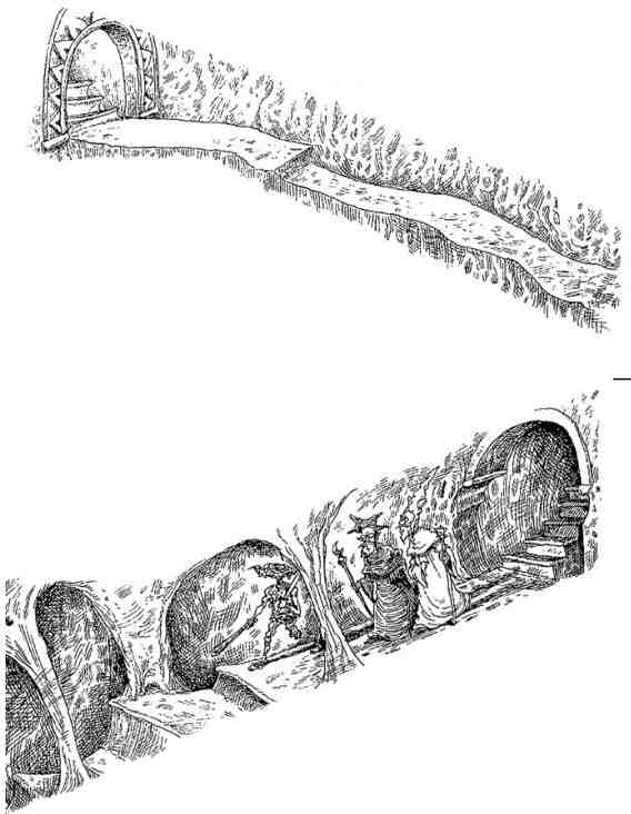 Иллюстрация к книге — Древний странник [i_062.jpg]