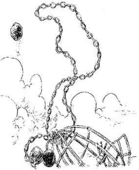 Иллюстрация к книге — Древний странник [i_081.jpg]