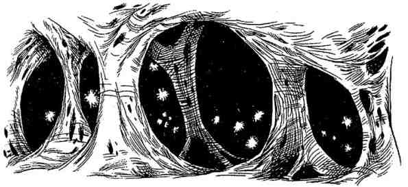 Иллюстрация к книге — Древний странник [i_086.jpg]