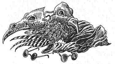 Иллюстрация к книге — Последний воздушный пират [i_058.jpg]