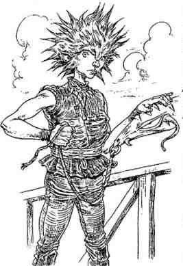 Иллюстрация к книге — Последний воздушный пират [i_069.jpg]