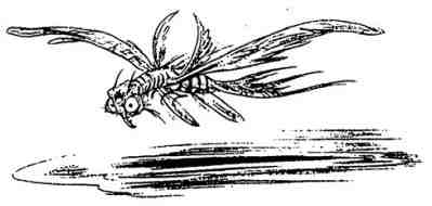 Иллюстрация к книге — Последний воздушный пират [i_079.jpg]