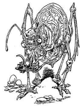 Иллюстрация к книге — Последний воздушный пират [i_082.jpg]