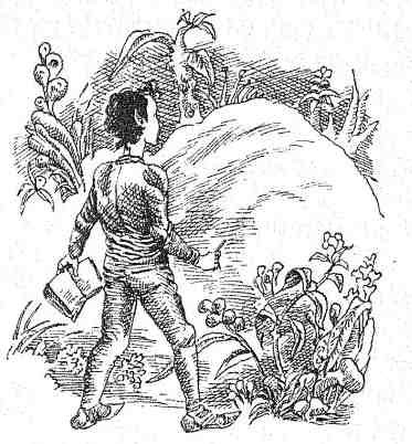 Иллюстрация к книге — Последний воздушный пират [i_110.jpg]